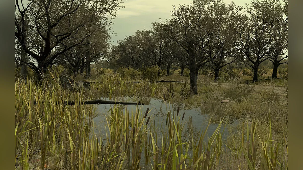 Скриншот из игры Arma 2: Private Military Company - 6