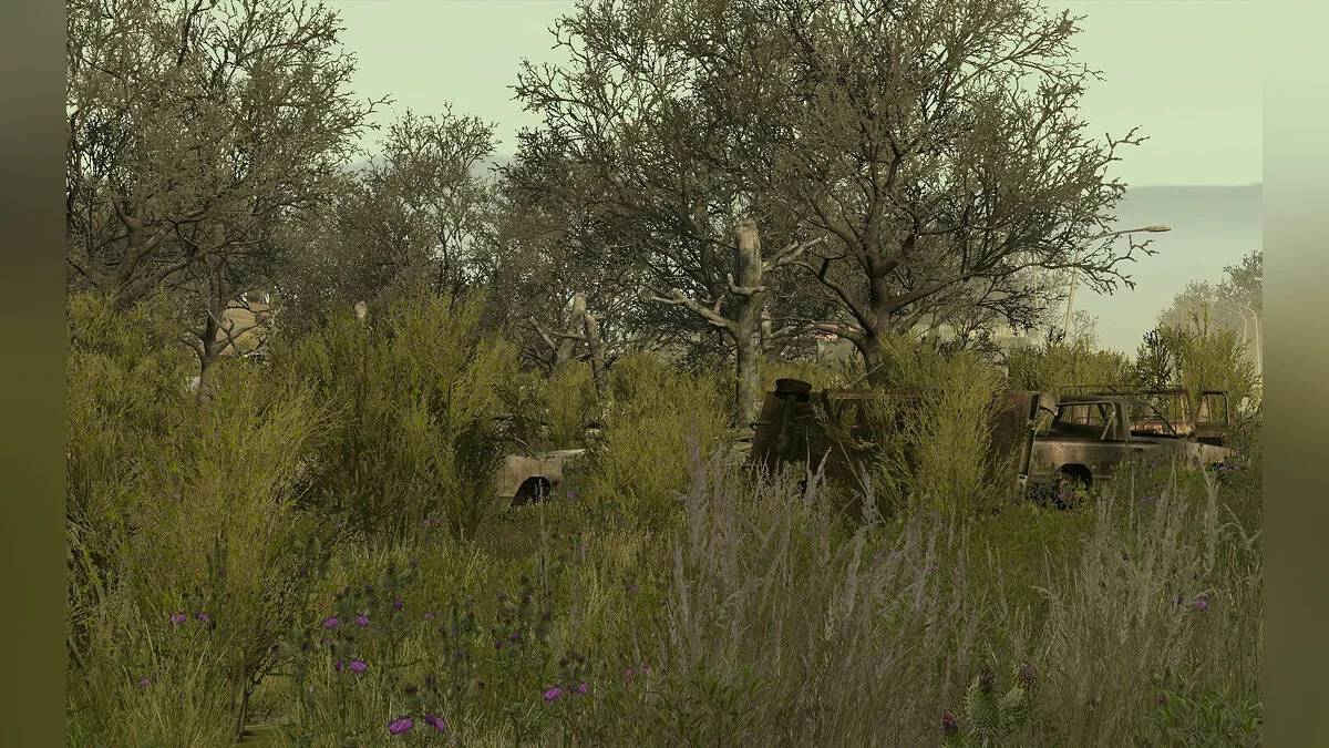 Скриншот из игры Arma 2: Private Military Company - 4