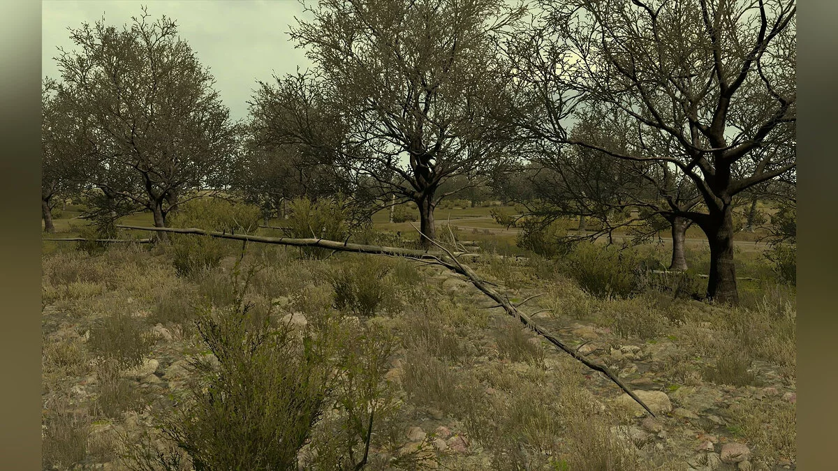 Скриншот из игры Arma 2: Private Military Company - 10