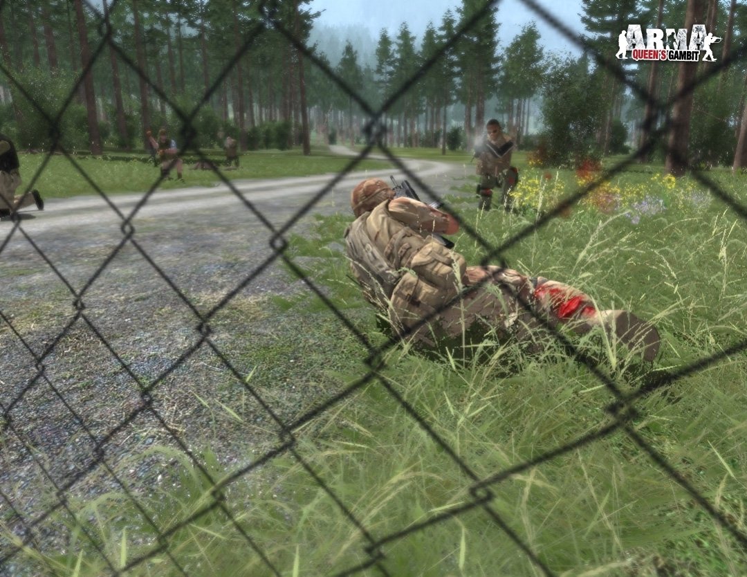 Скриншот из игры ArmA: Queen's Gambit - 27