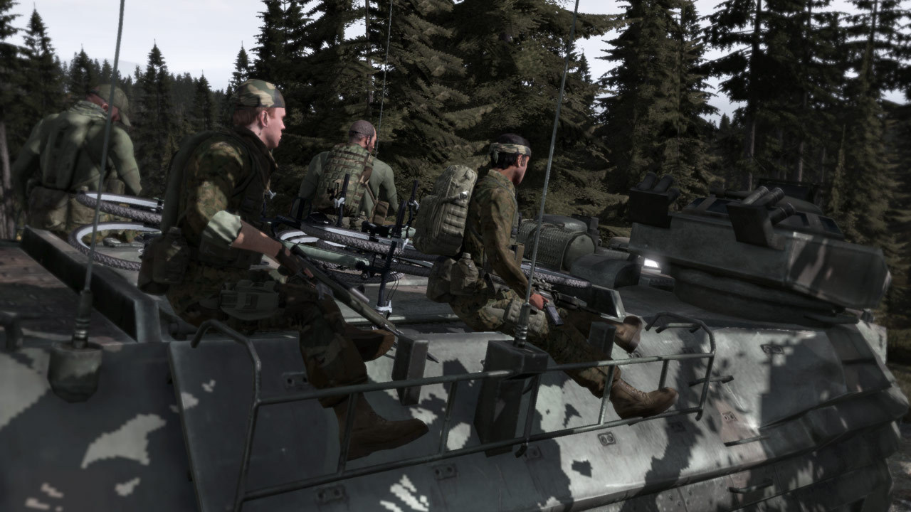 Скриншот из игры Arma 2 - 45