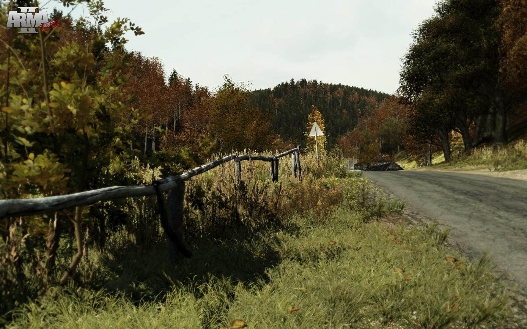 Скриншот из игры Arma 2 - 59