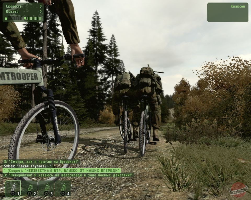 Скриншот из игры Arma 2 - 44
