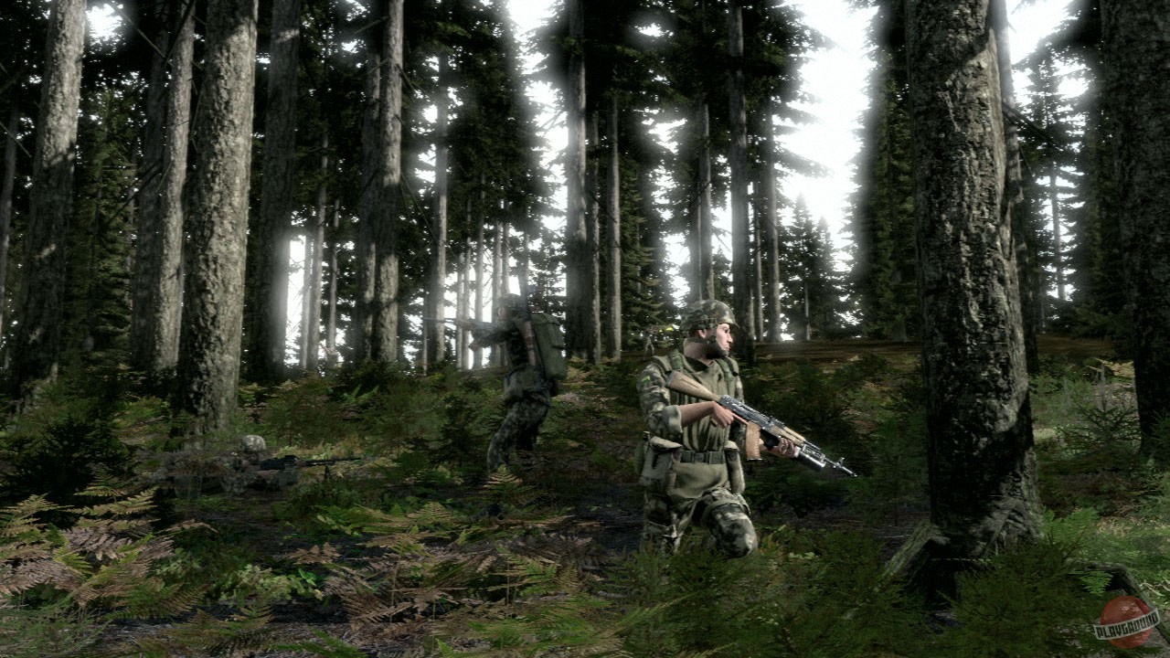 Скриншот из игры Arma 2 - 193