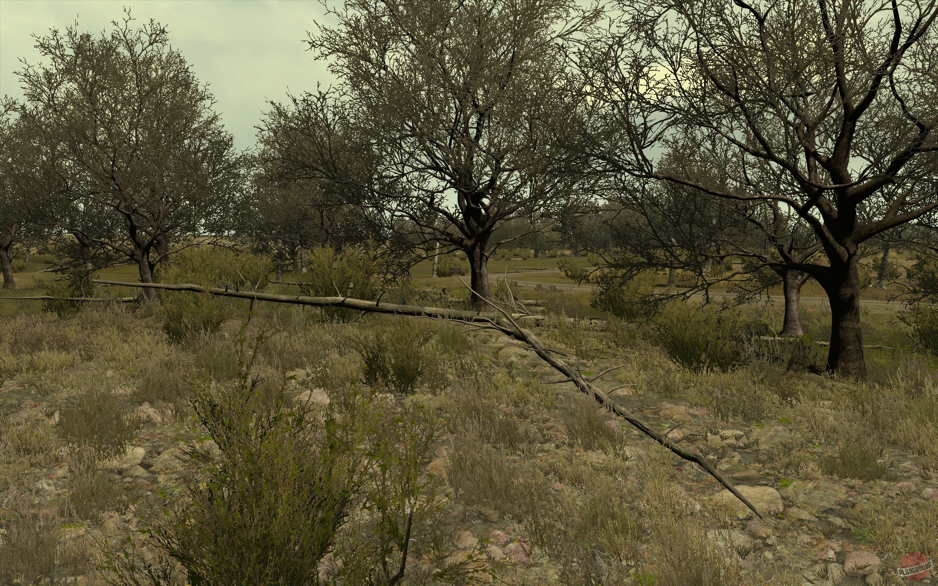 Скриншот из игры Arma 2 - 157