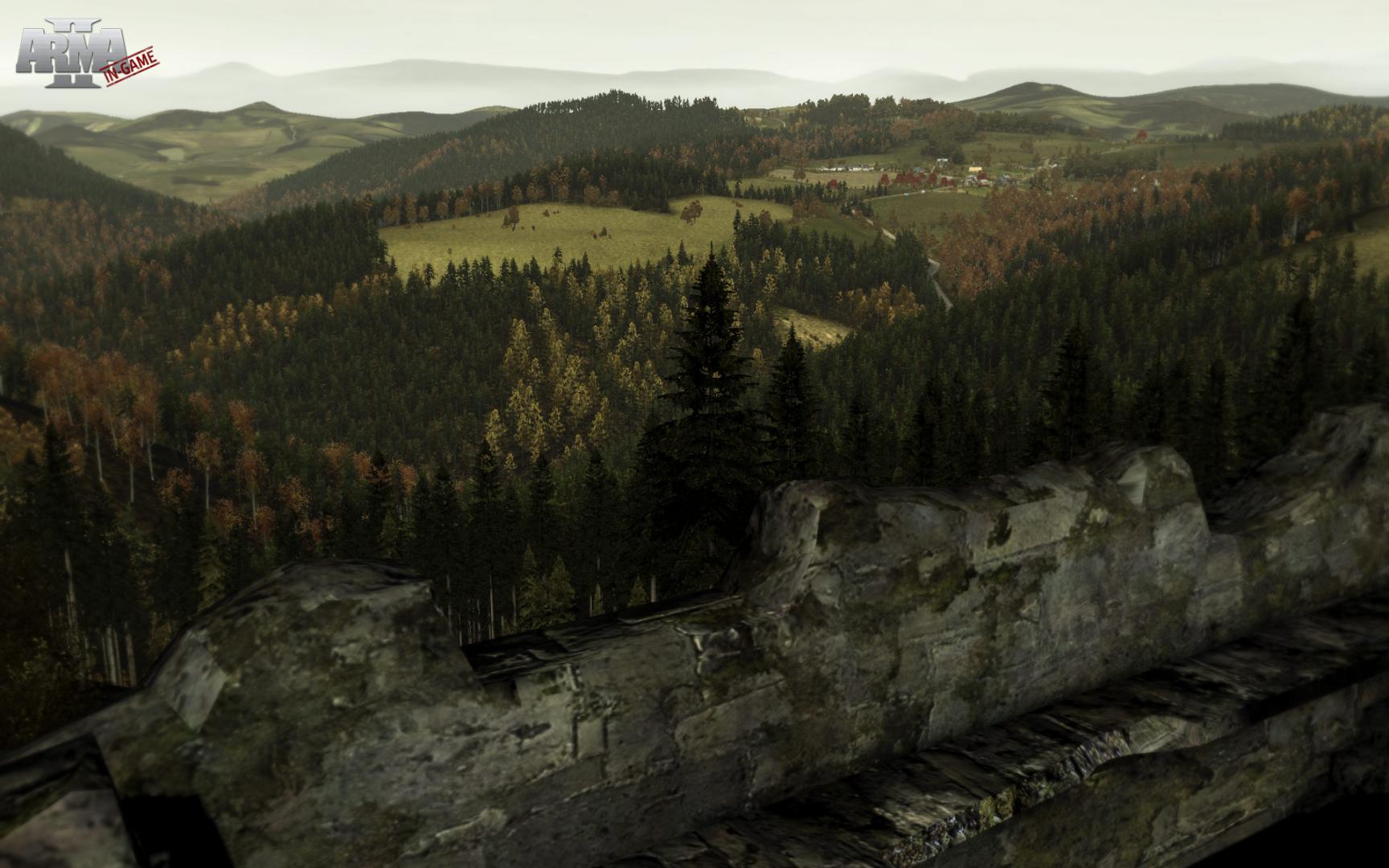 Скриншот из игры Arma 2 - 63