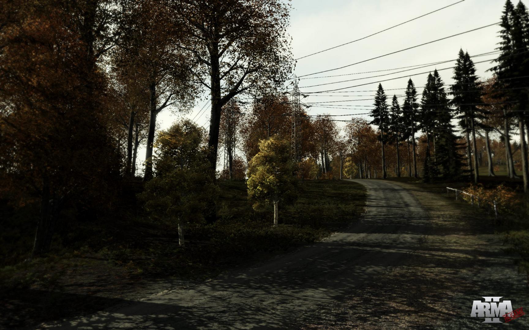Скриншот из игры Arma 2 - 57