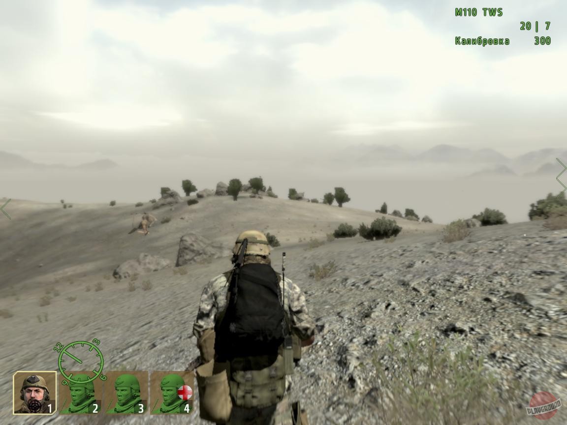 Скриншот из игры Arma 2 - 146