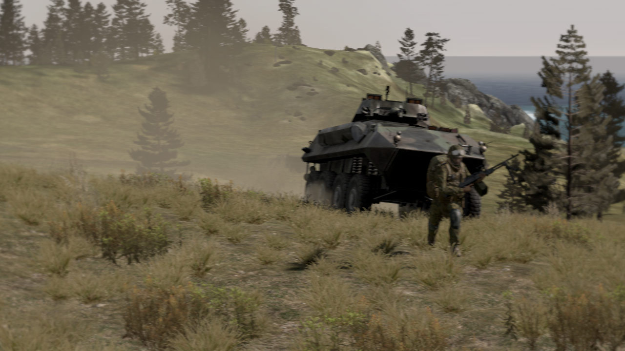 Скриншот из игры Arma 2 - 40