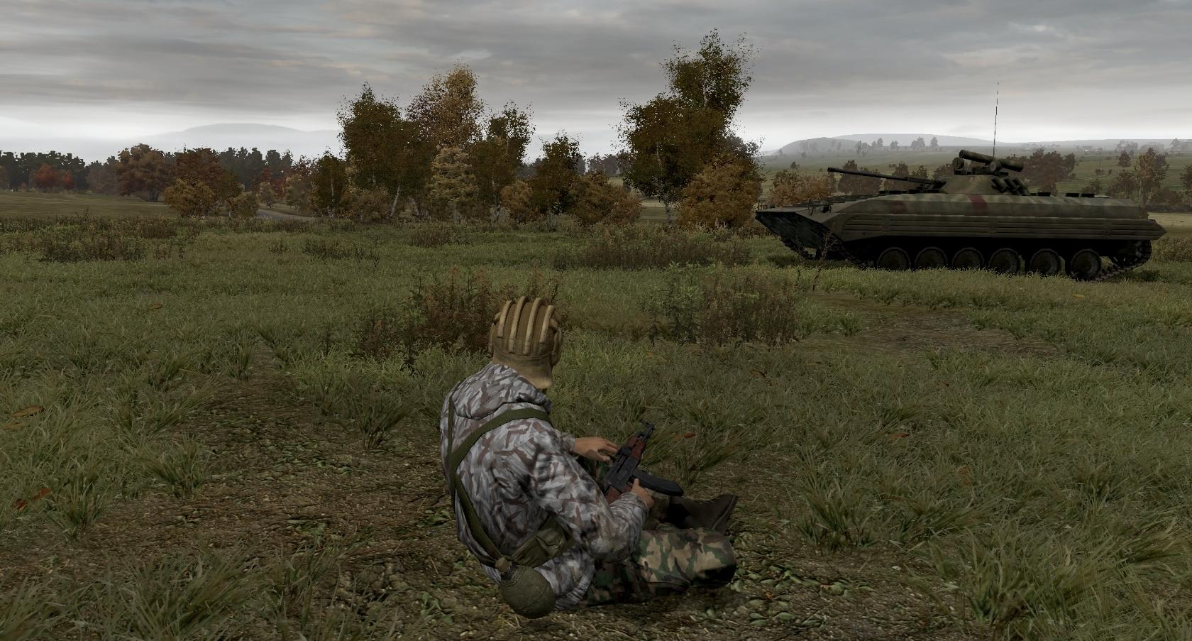 Скриншот из игры Arma 2 - 30