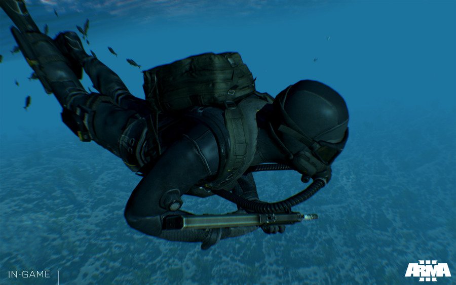 Скриншот из игры Arma 3 - 30