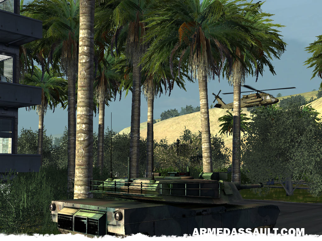 Скриншот из игры Arma: Armed Assault - 81