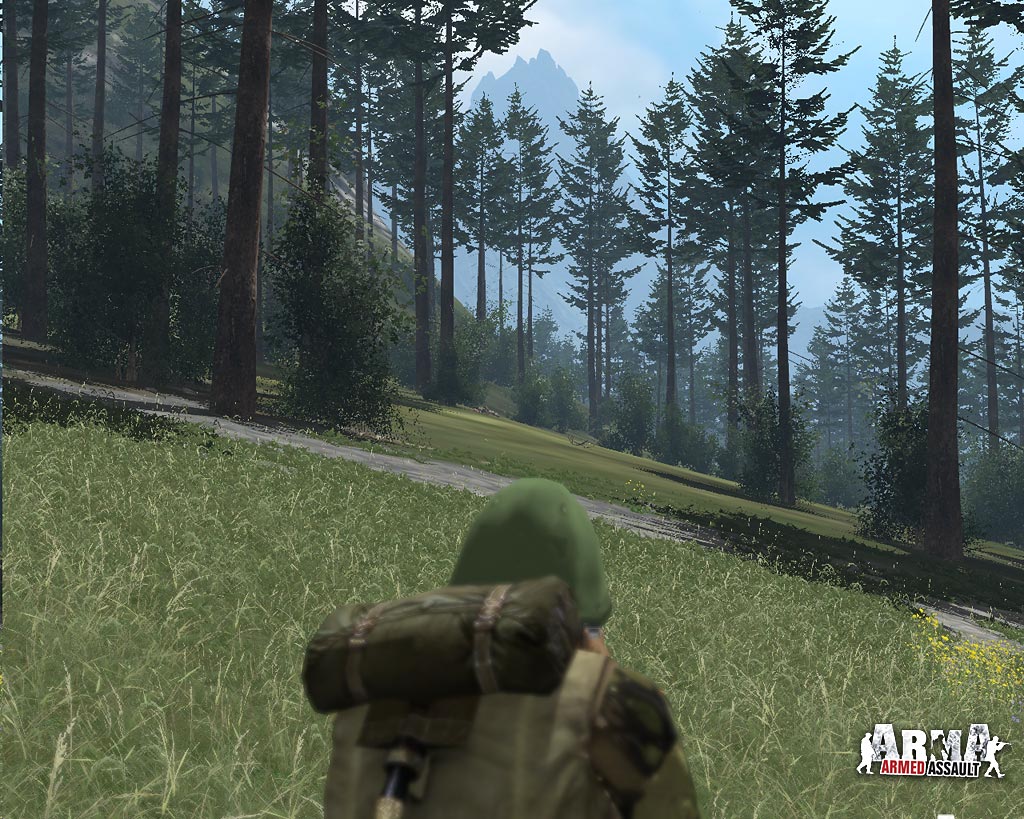 Скриншот из игры Arma: Armed Assault - 77