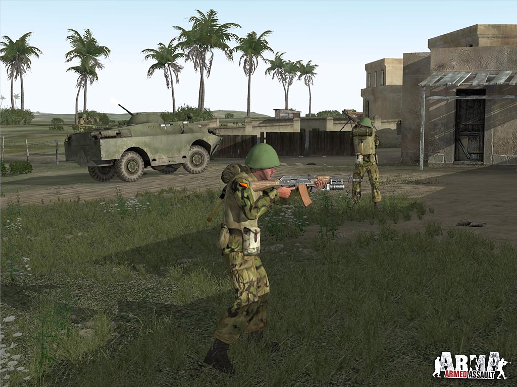 Скриншот из игры Arma: Armed Assault - 35