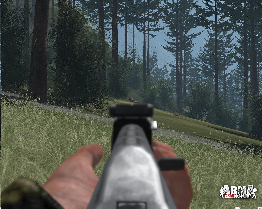 Скриншот из игры Arma: Armed Assault - 56