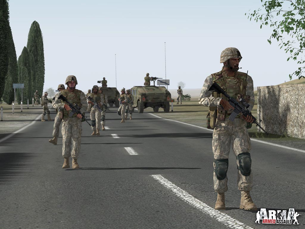 Скриншот из игры Arma: Armed Assault - 49