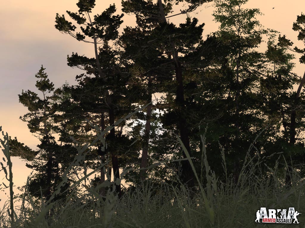 Скриншот из игры Arma: Armed Assault - 51