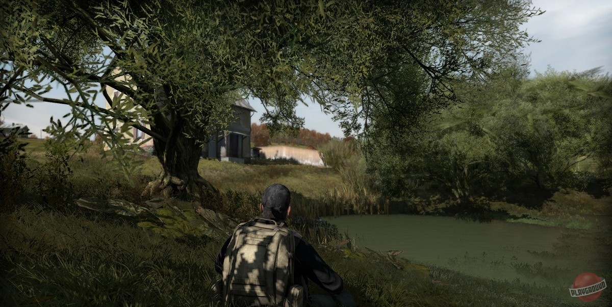 Скриншот из игры DayZ - 31