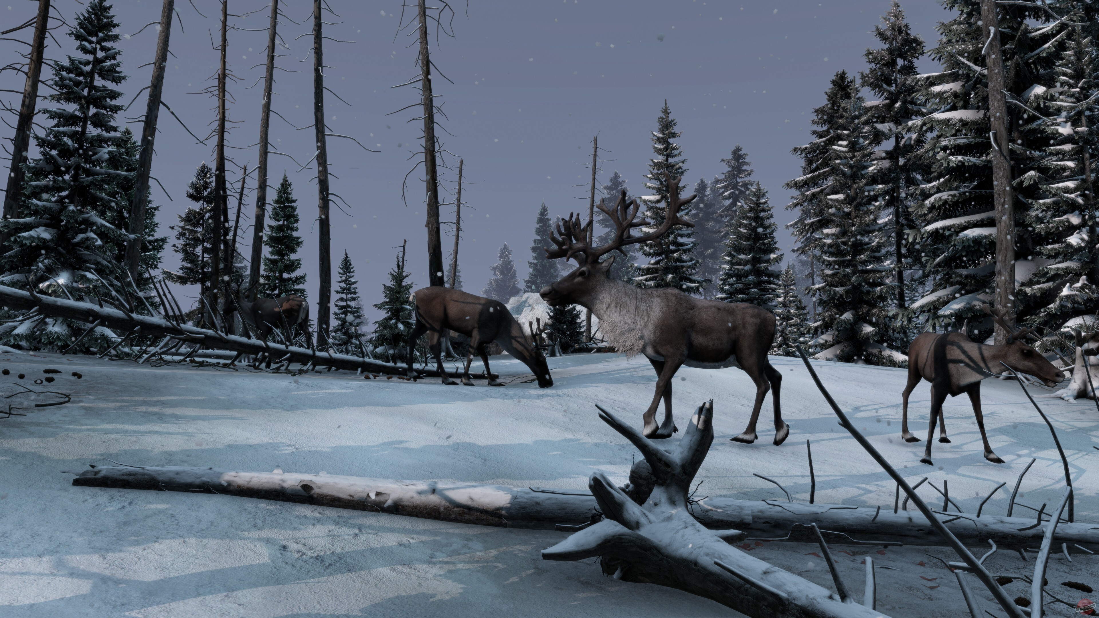 Скриншот из игры DayZ - 40