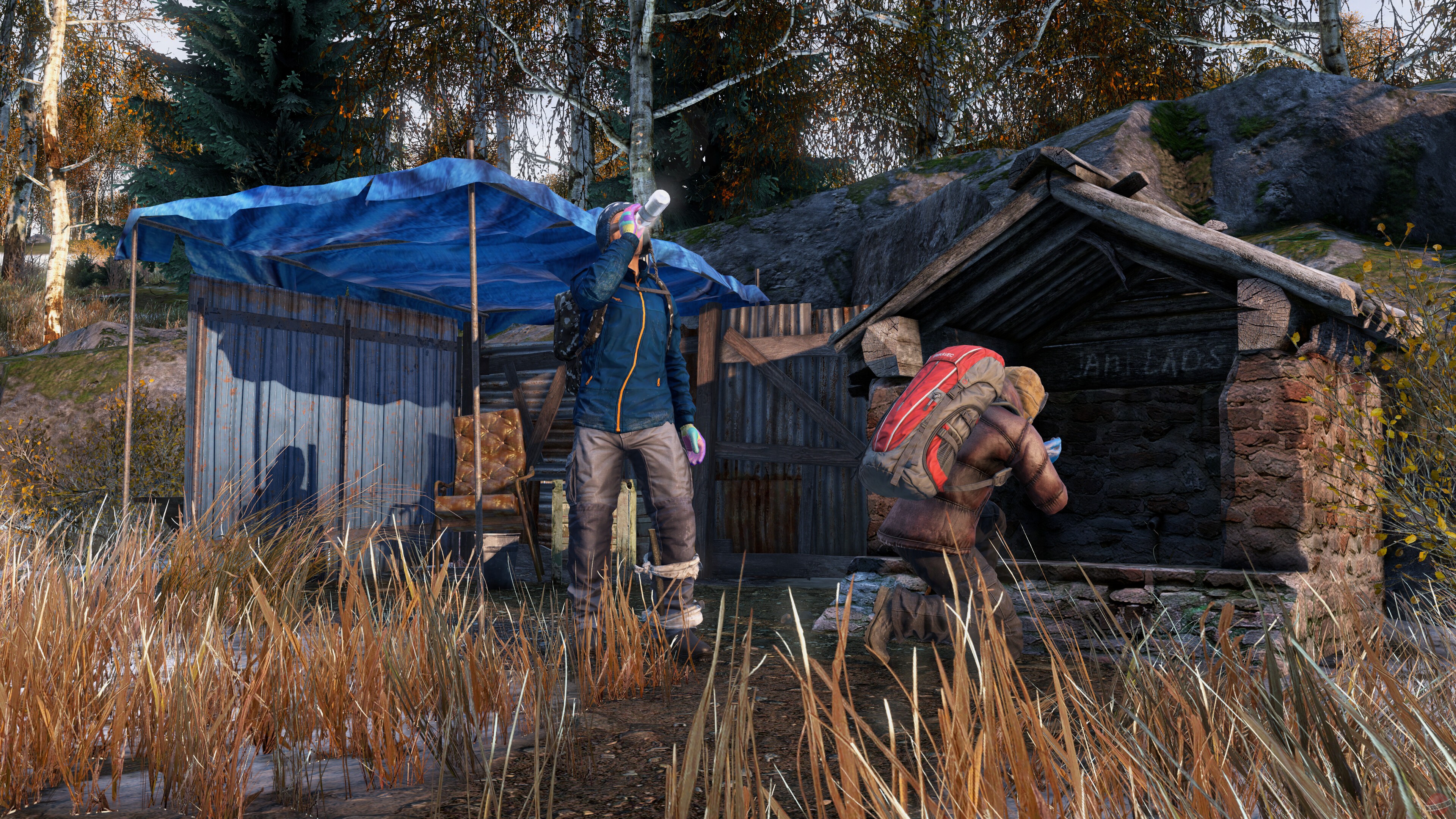 Скриншот из игры DayZ - 48