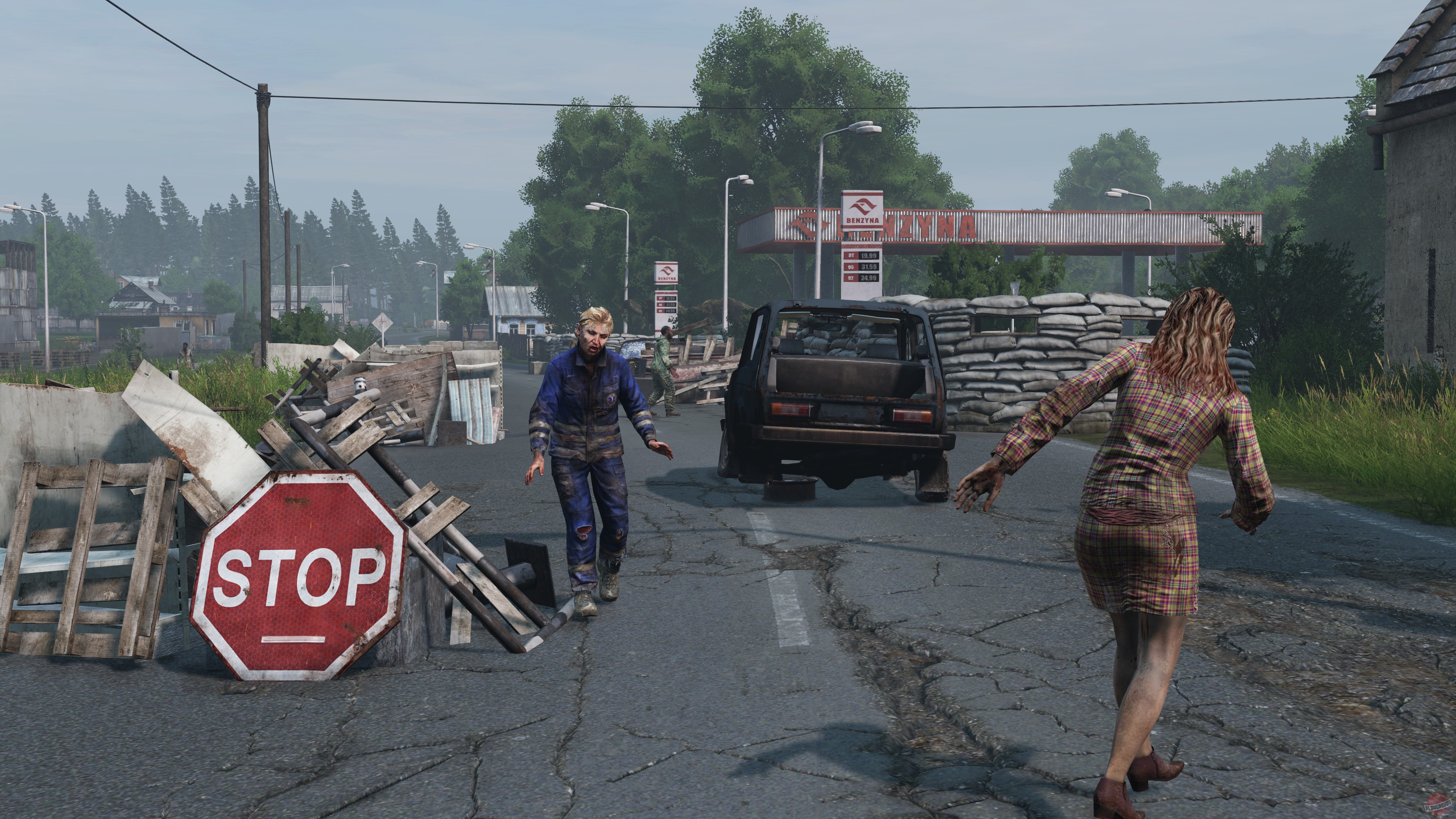 Скриншот из игры DayZ - 61