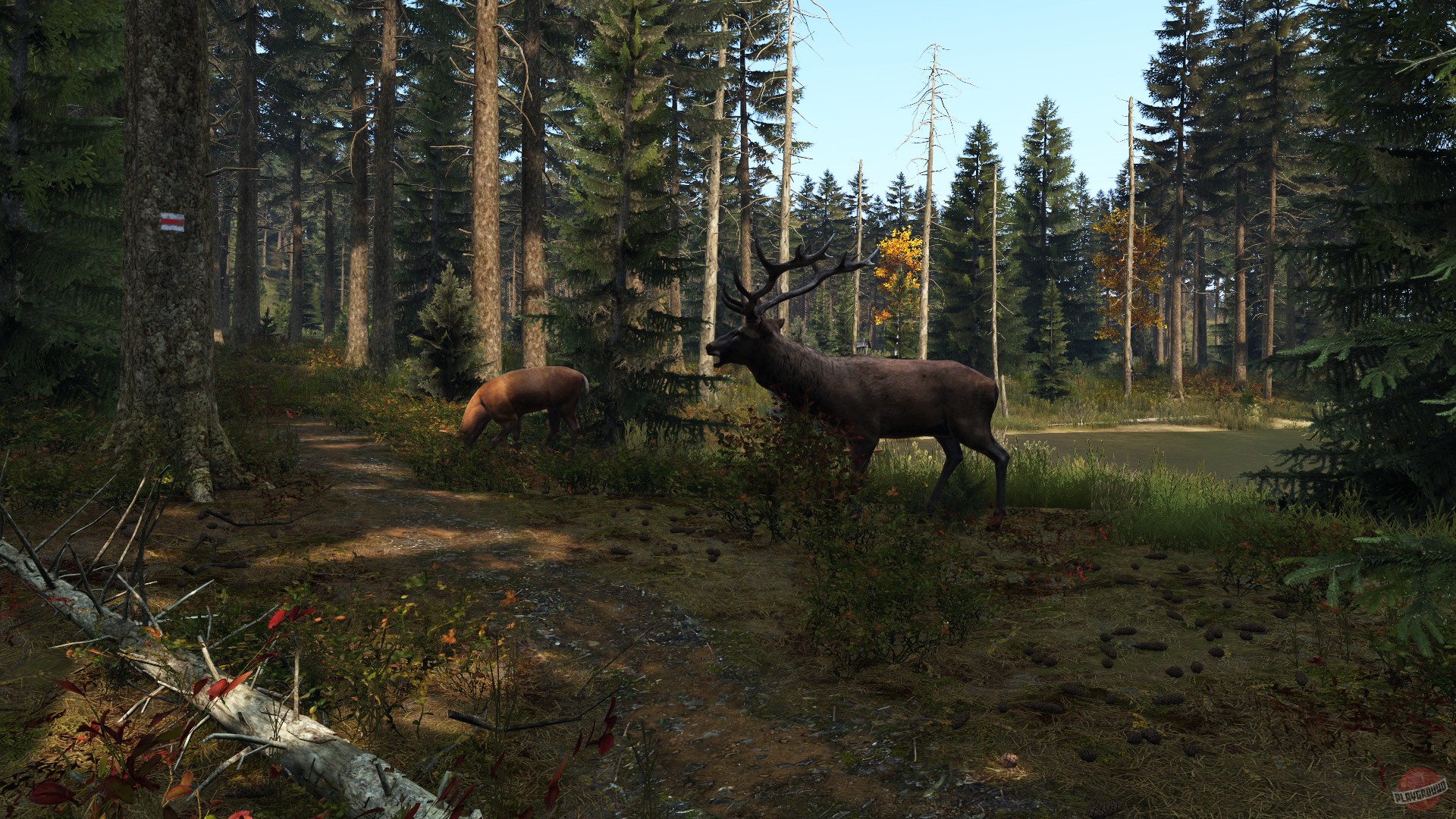 Скриншот из игры DayZ - 49