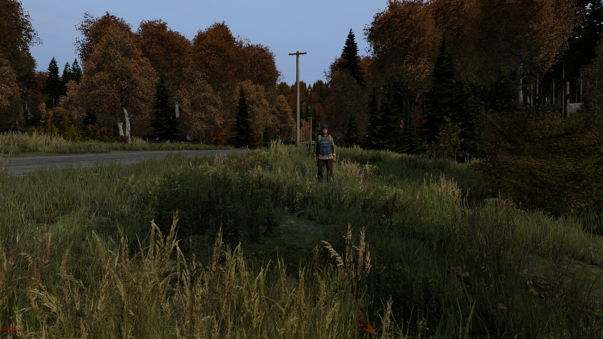 Скриншот из игры DayZ - 96