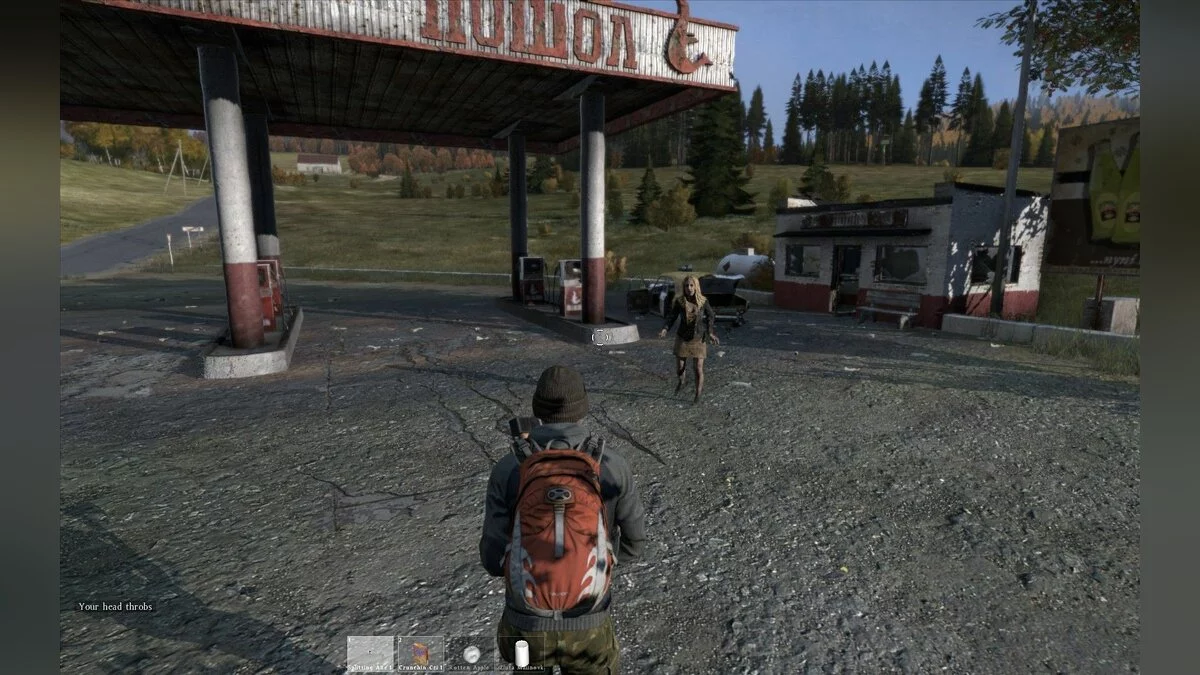 Скриншот из игры DayZ - 116