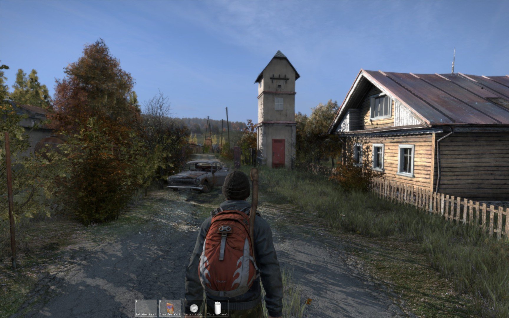 Скриншот из игры DayZ - 16