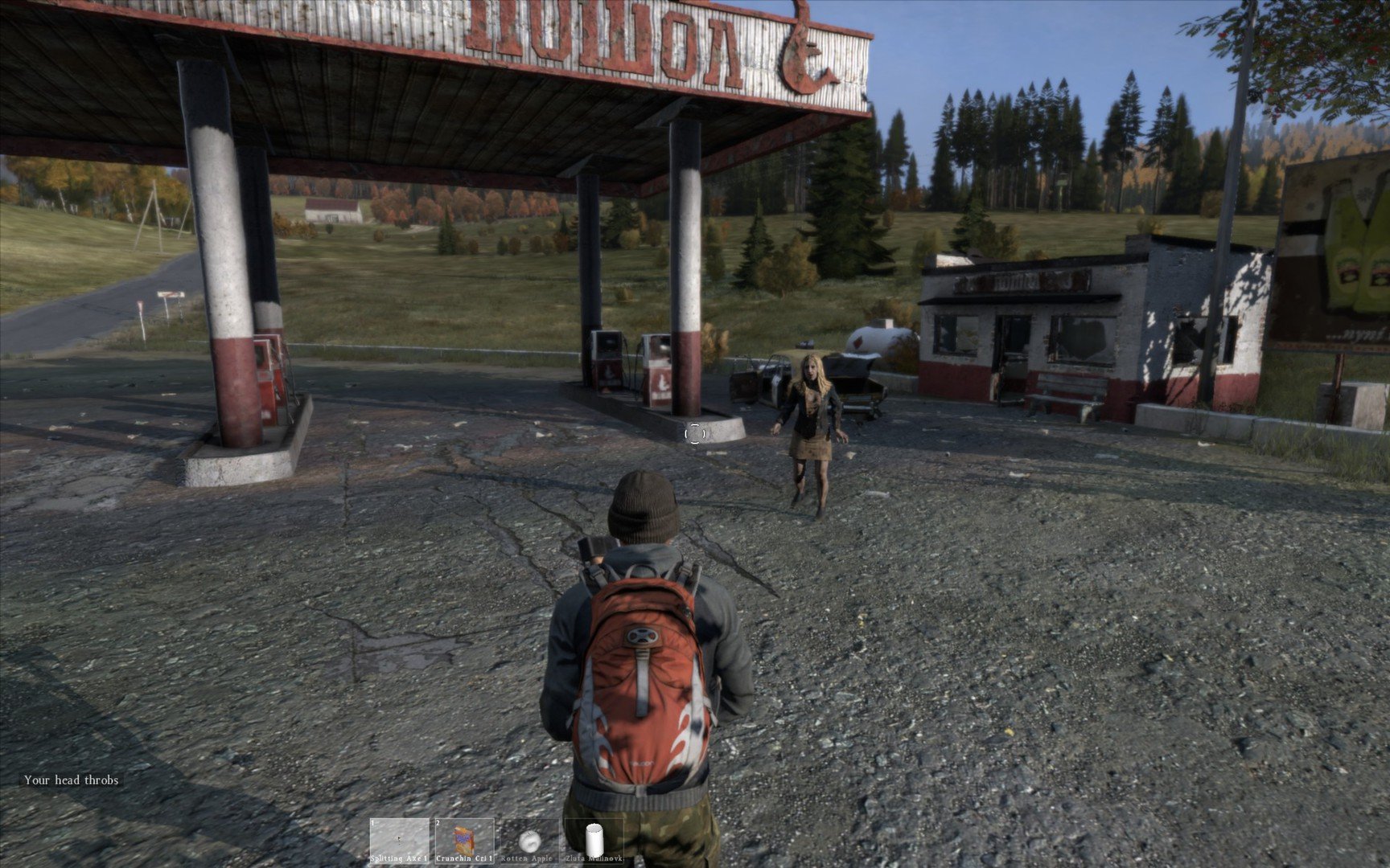 Скриншот из игры DayZ - 18