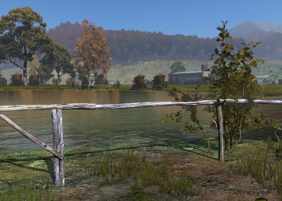 Скриншот из игры DayZ - 7