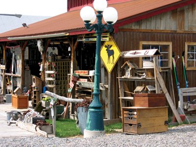 Скриншот из игры Antique Road Trip USA - 4