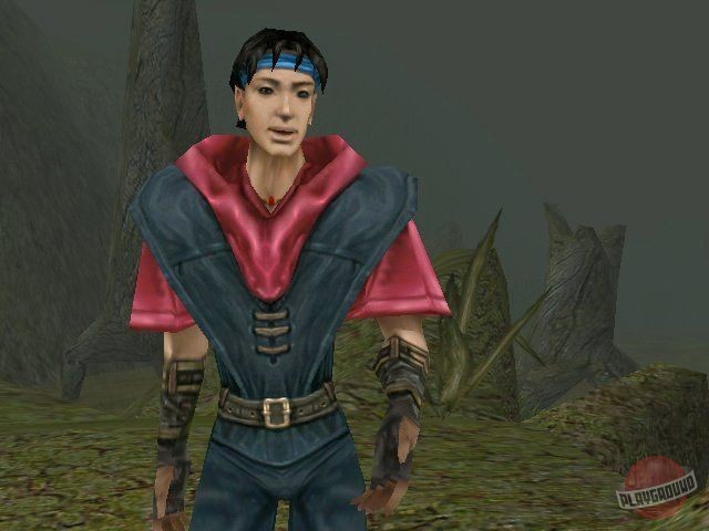 Скриншот из игры Darkened Skye - 11