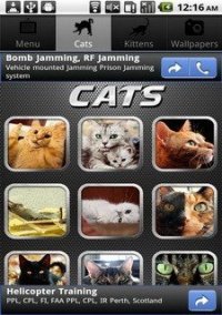 Обложка игры Cat Puzzle