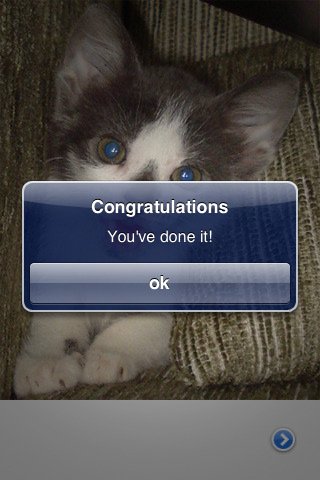 Скриншот из игры Cat Puzzle - 2