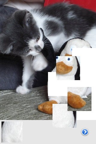 Скриншот из игры Cat Puzzles - 2