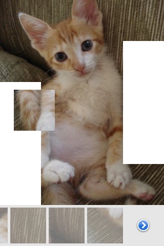 Скриншот из игры Cat Puzzles - 3