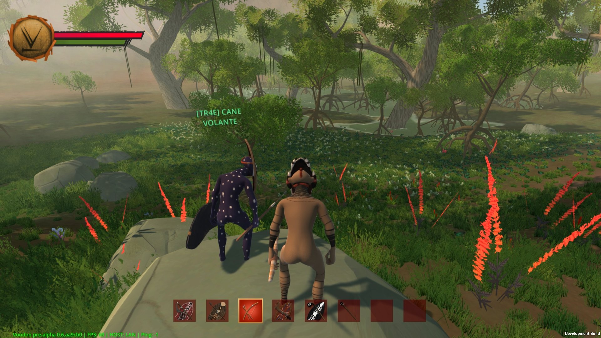 Скриншот из игры Voodoo - 6