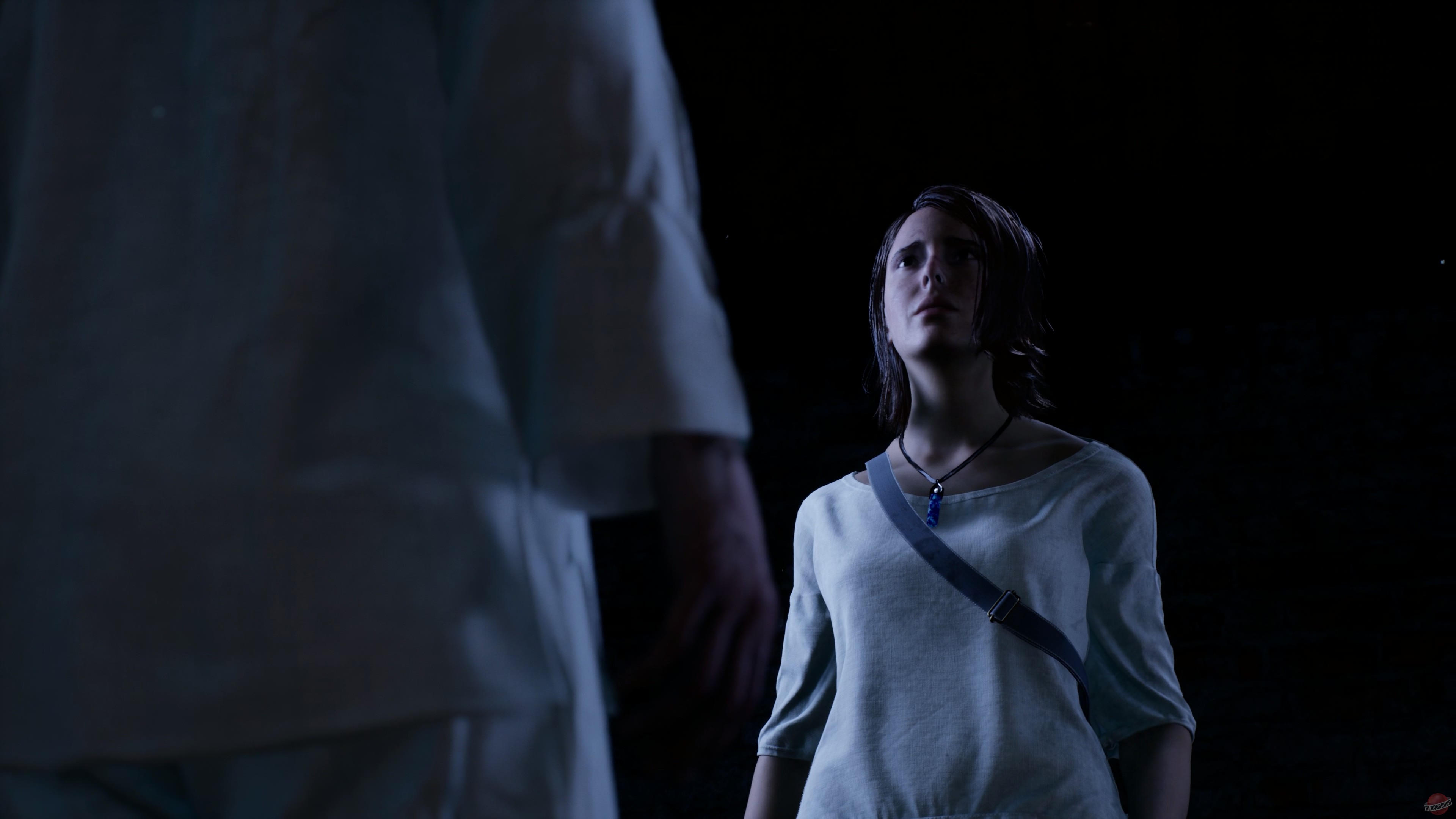 Скриншот из игры The Chant - 29