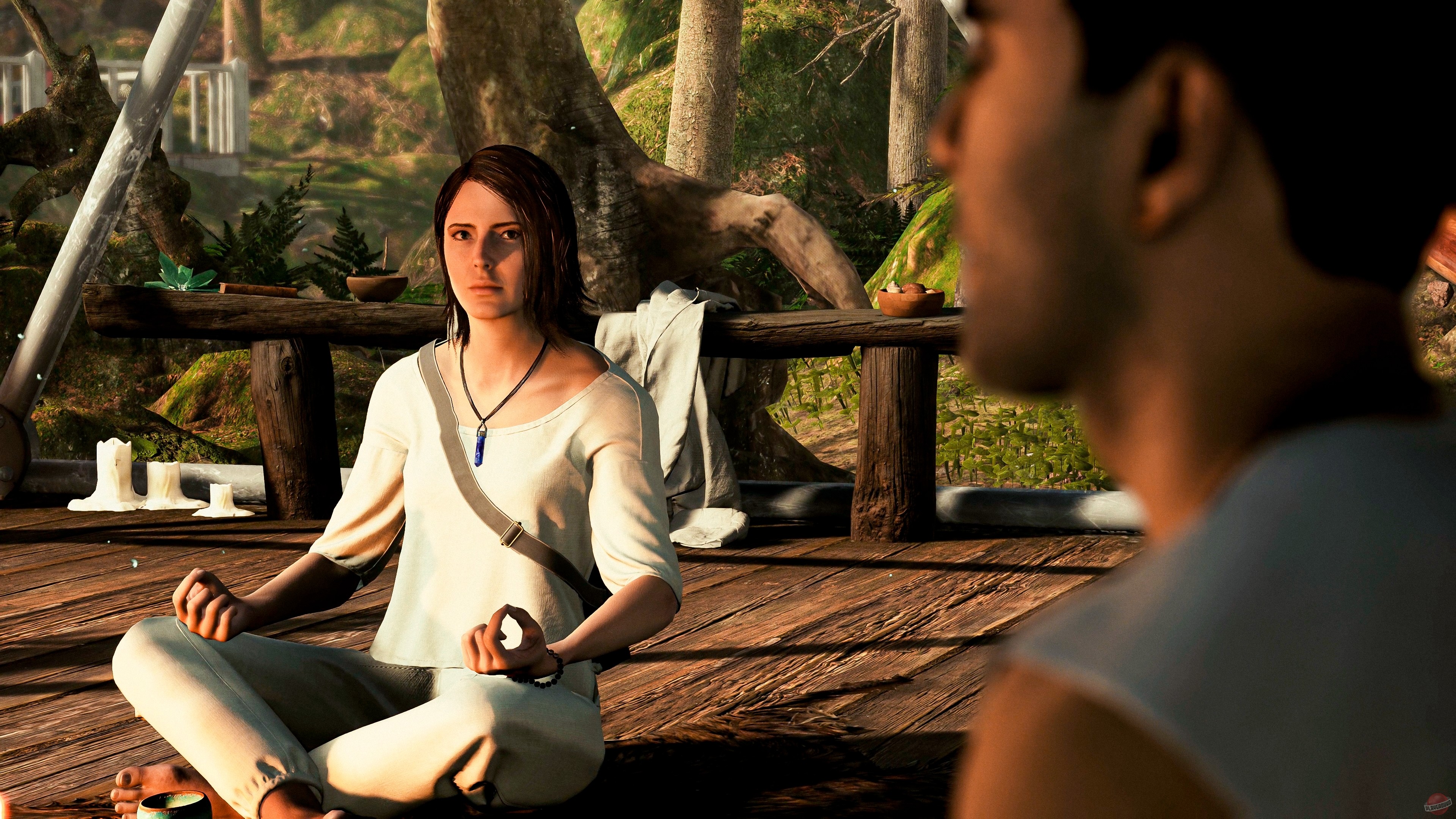 Скриншот из игры The Chant - 21