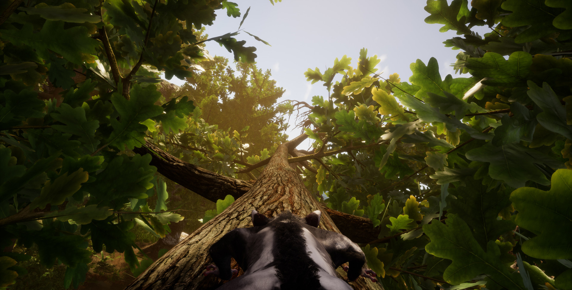 Скриншот из игры AWAY: The Survival Series - 37