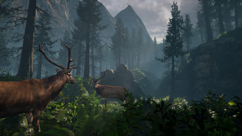 Скриншот из игры AWAY: The Survival Series - 3