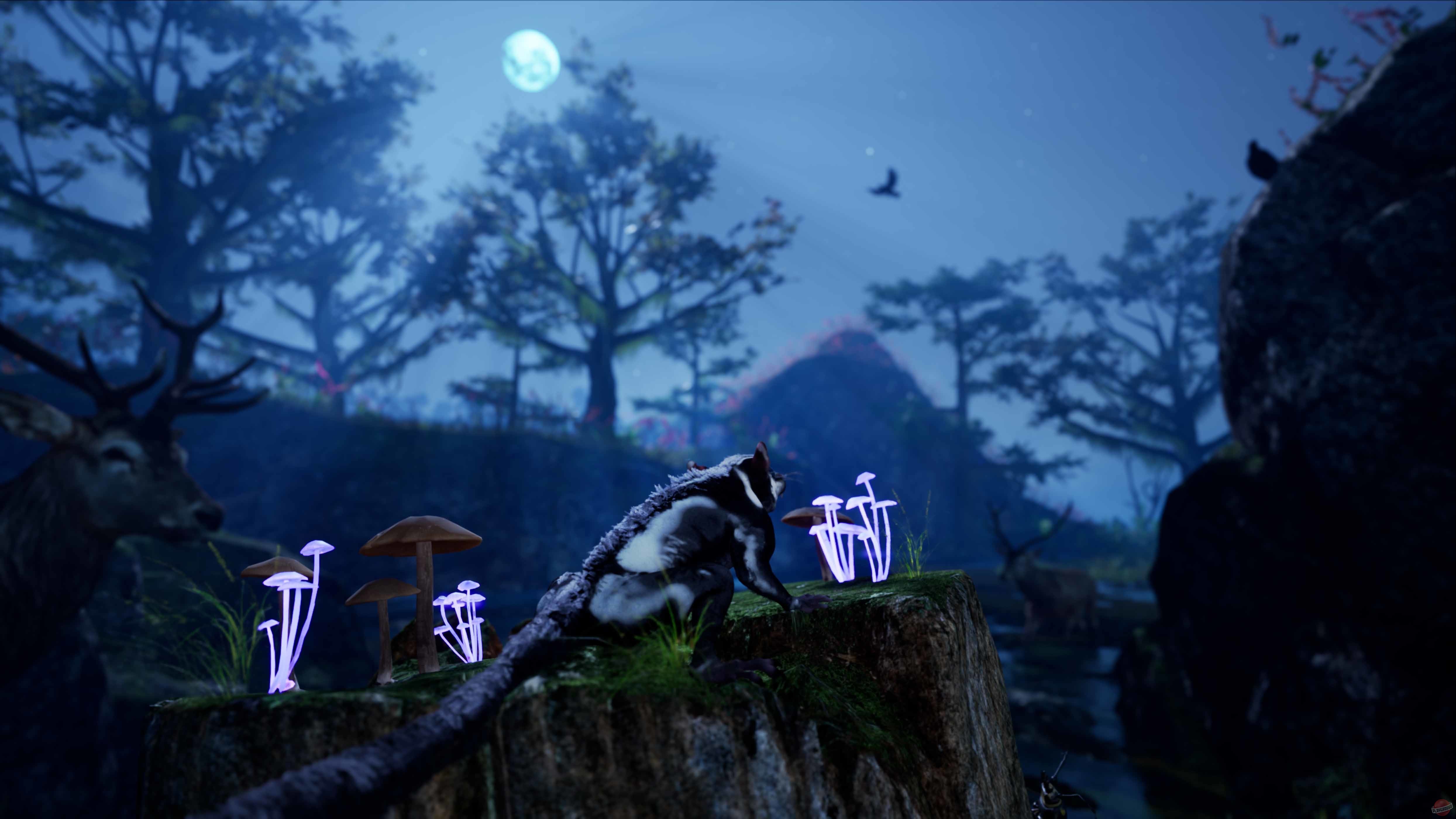 Скриншот из игры AWAY: The Survival Series - 56