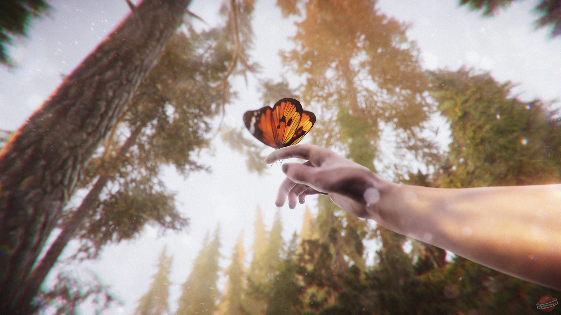 Скриншот из игры The Forest Cathedral - 1