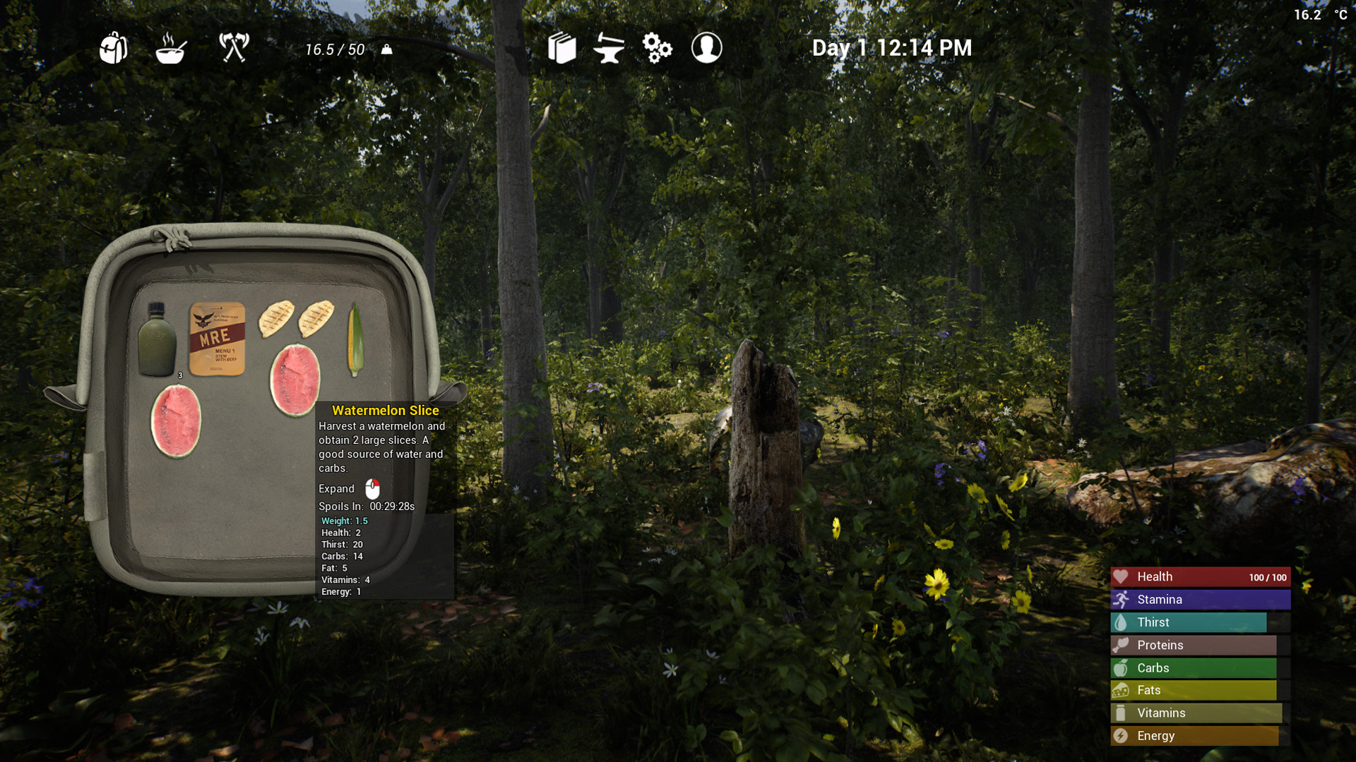 Скриншот из игры The Infected - 15