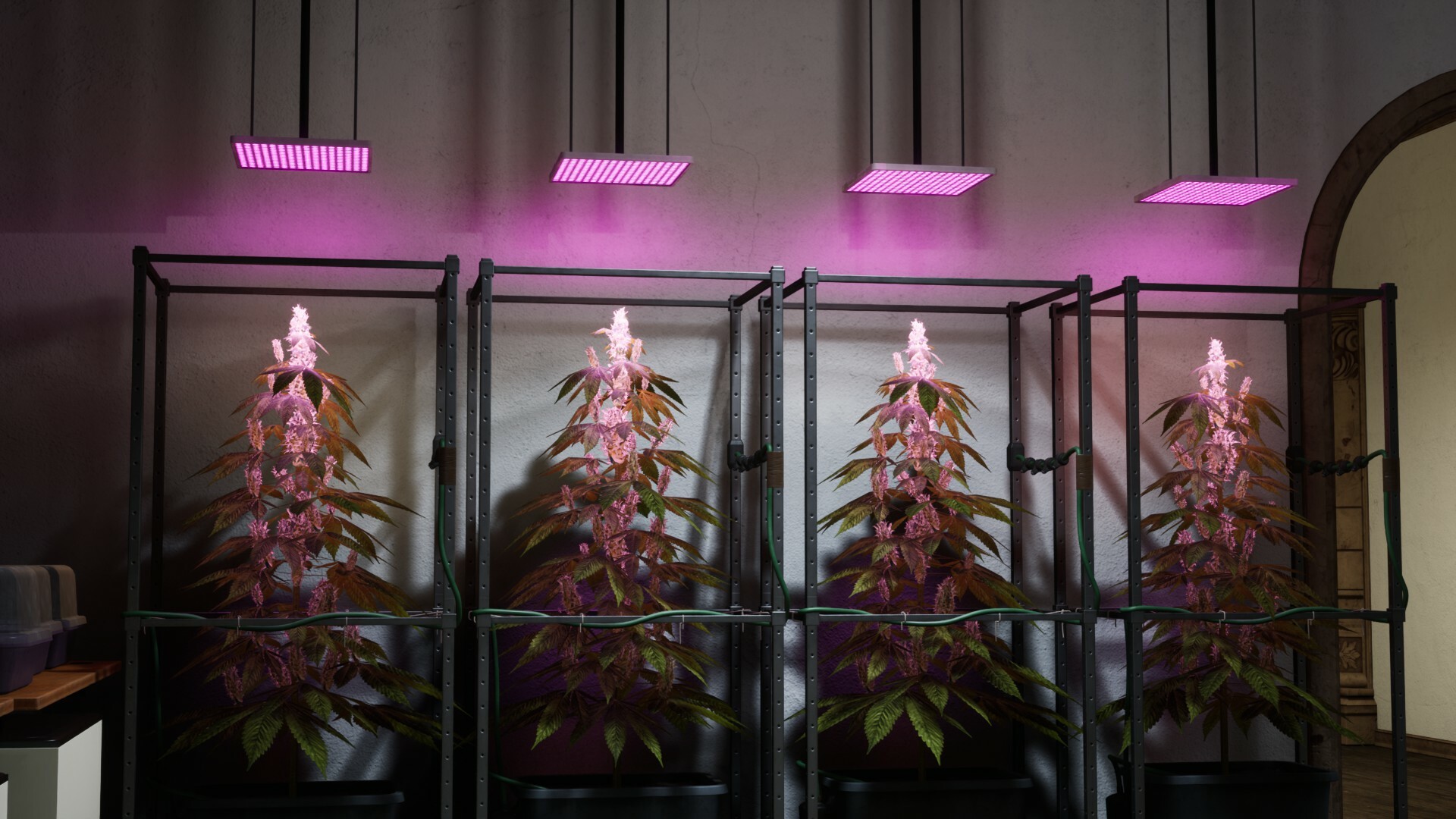 Скриншот из игры Drug Dealer Simulator 2 - 1