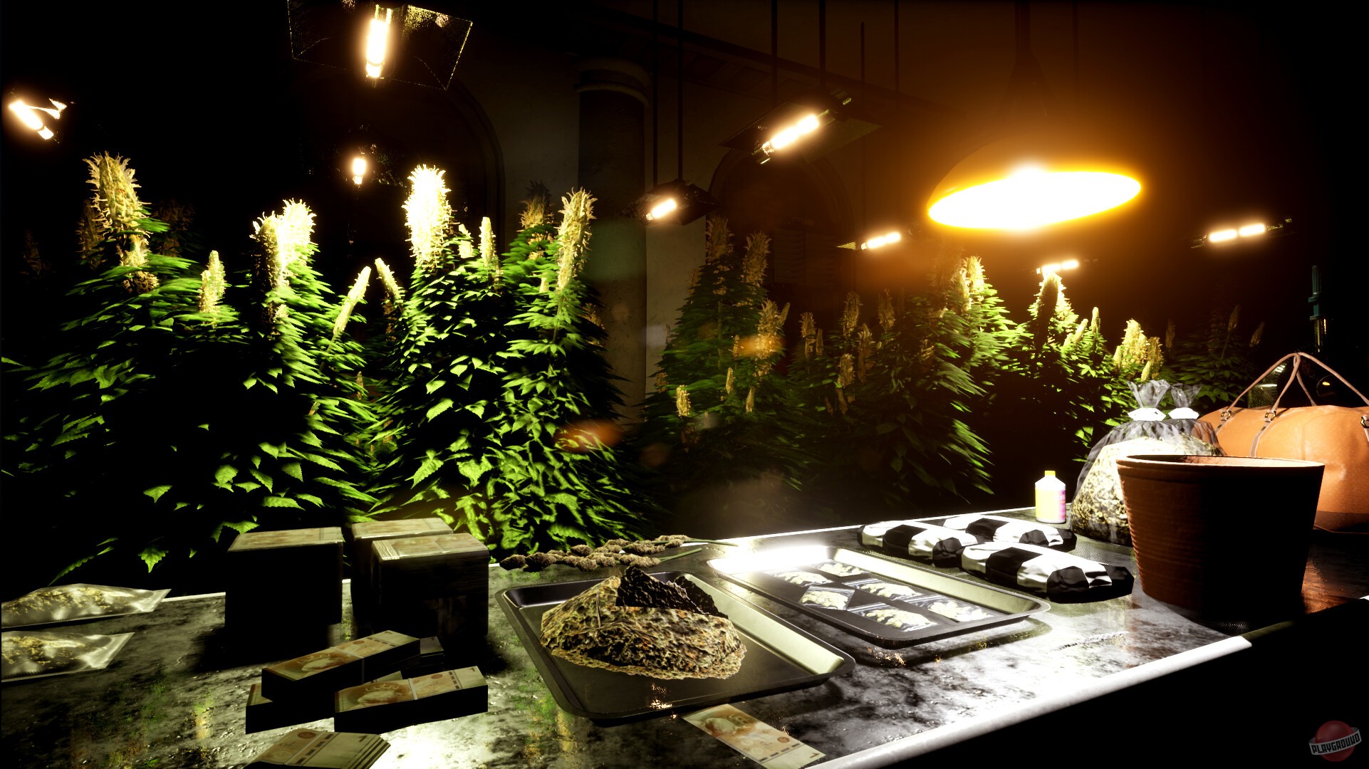 Скриншот из игры Drug Dealer Simulator 2 - 11