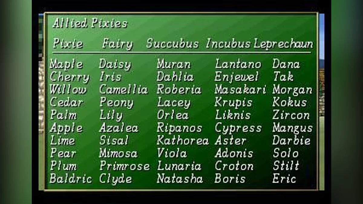 Скриншот из игры Shining the Holy Ark - 2