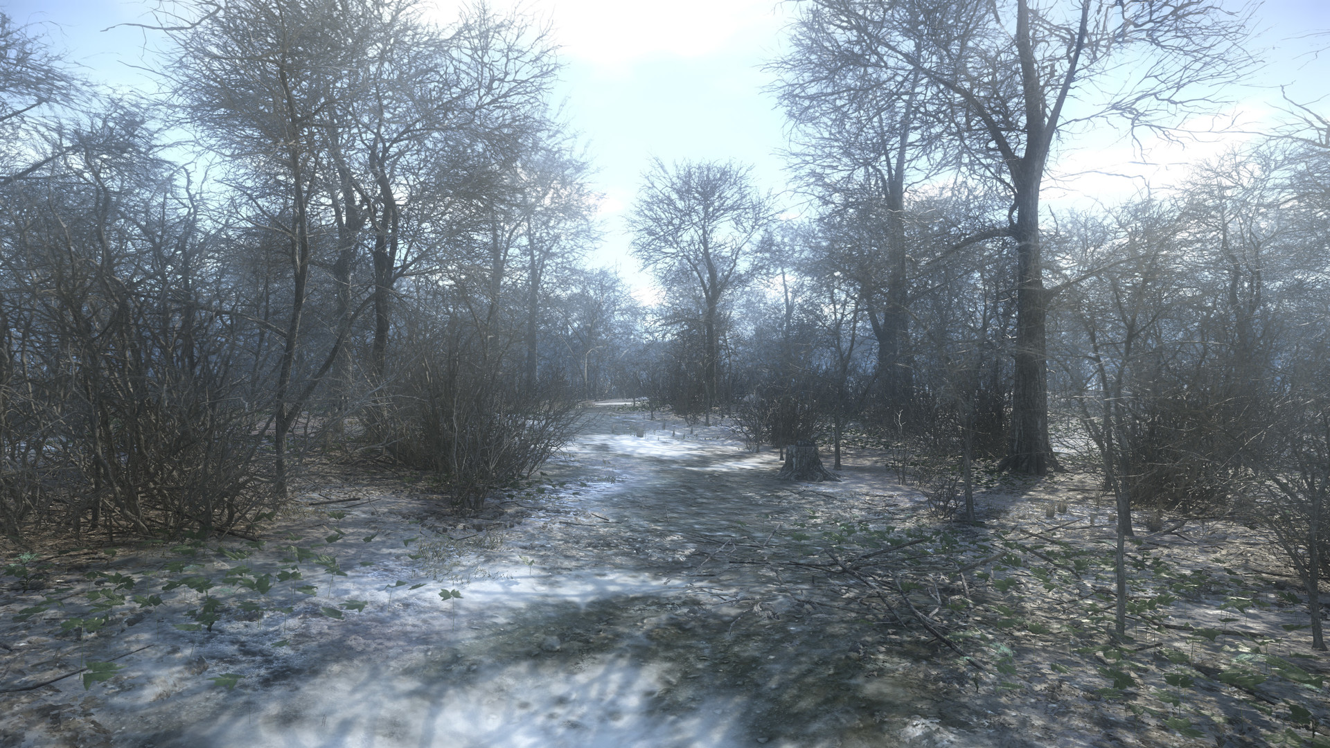 Скриншот из игры War of Rights - 164