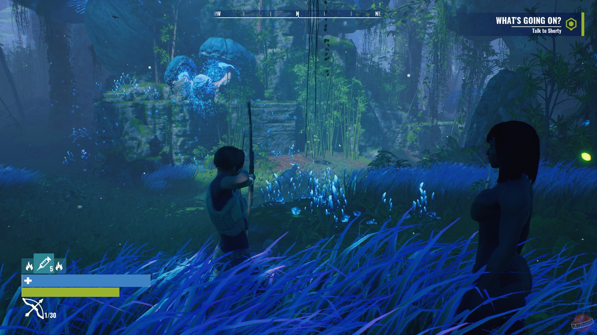 Скриншот из игры Wild Life - 4